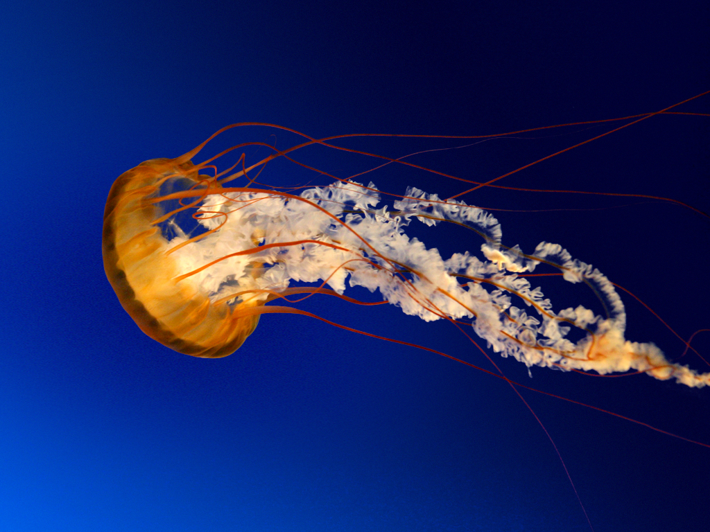 Promotional Image
